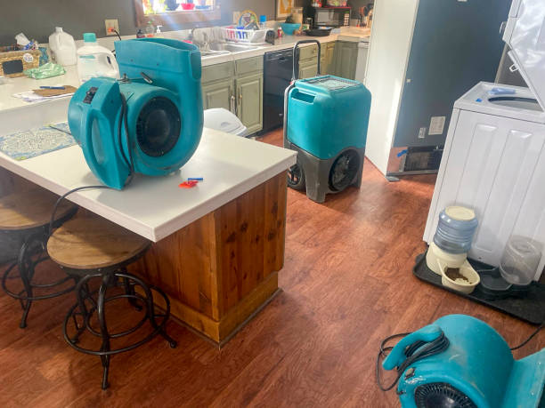 Best Mold removal after water damage  in Tucumcari, NM