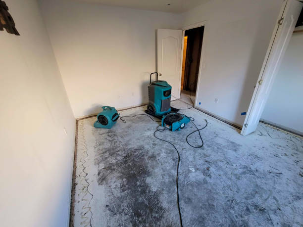 Trusted Tucumcari, NM Water damage restoration Experts