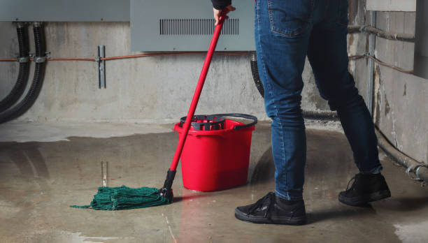  Tucumcari, NM Water damage restoration Pros