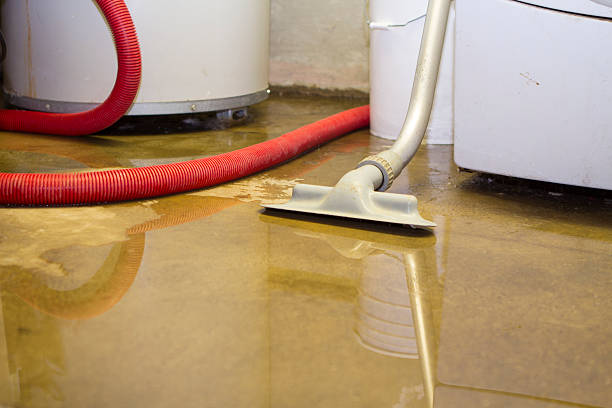 Best Water damage restoration specialists  in Tucumcari, NM