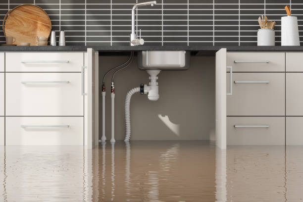 Best Water damage contractors near me  in Tucumcari, NM