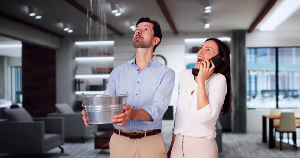 Best Commercial water damage restoration  in Tucumcari, NM